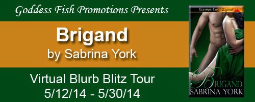 http://goddessfishpromotions.blogspot.com/2014/04/virtual-blurb-blitz-tour-brigand-by.html