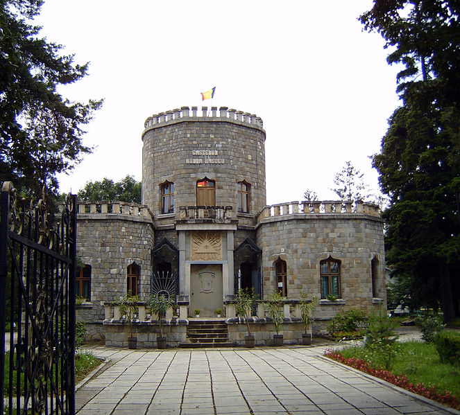 Small Castle House Plans The iulia hasdeu castle is a