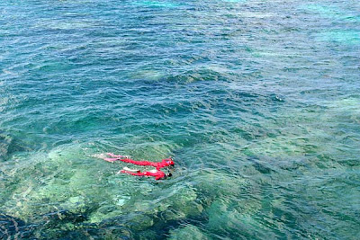 Great Barrier Reef