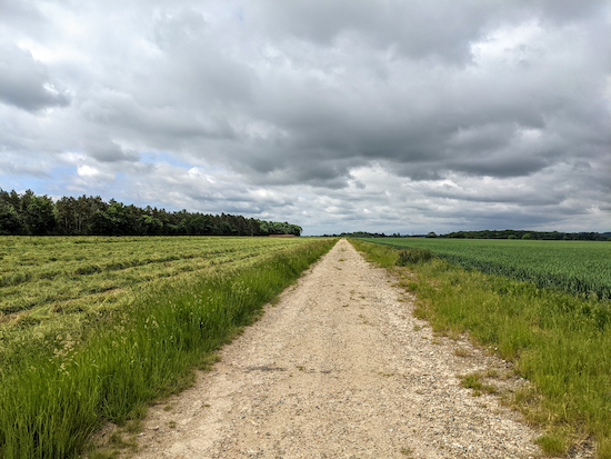 The Hertfordshire Way heading S from point 2