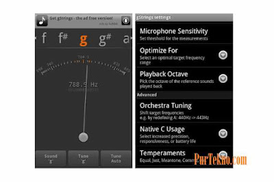 Aplikasi Penyetel Gitar