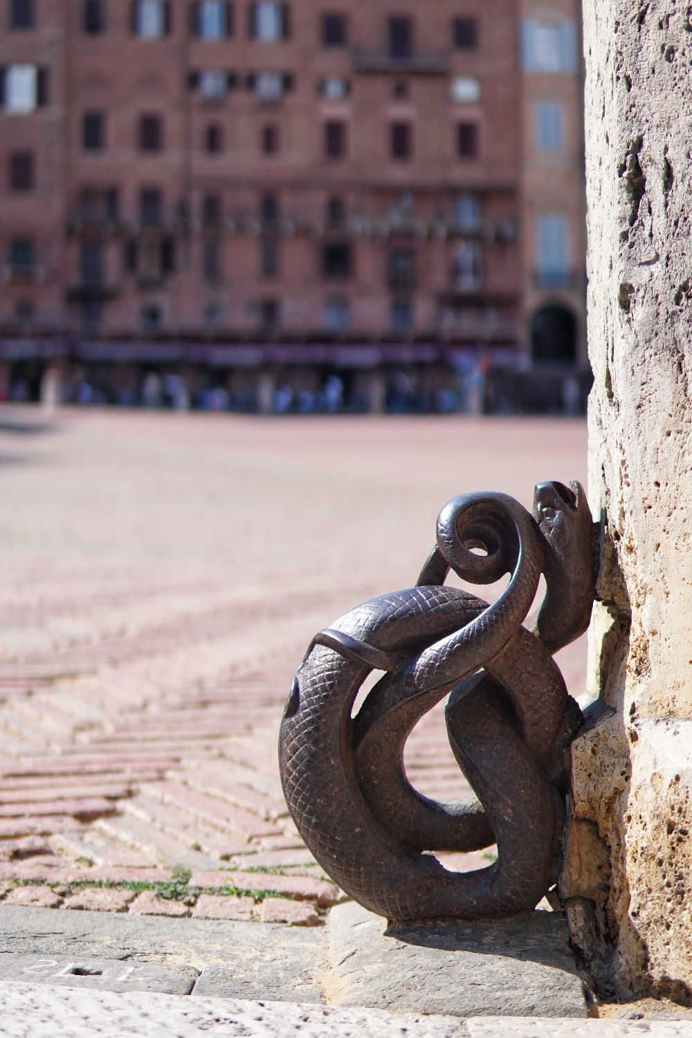 Siena campo