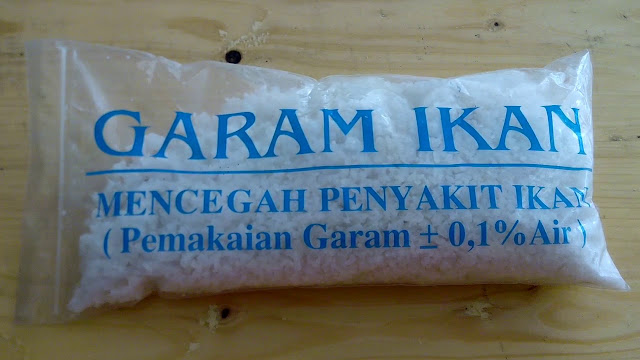 Garam Ikan, Fungsi dan Perbedaannya dengan Garam Dapur