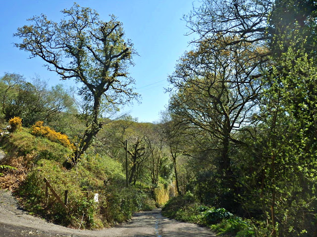 Narrow lanes in Cornwall