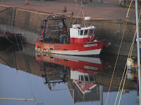 Dans le port de Paimpol