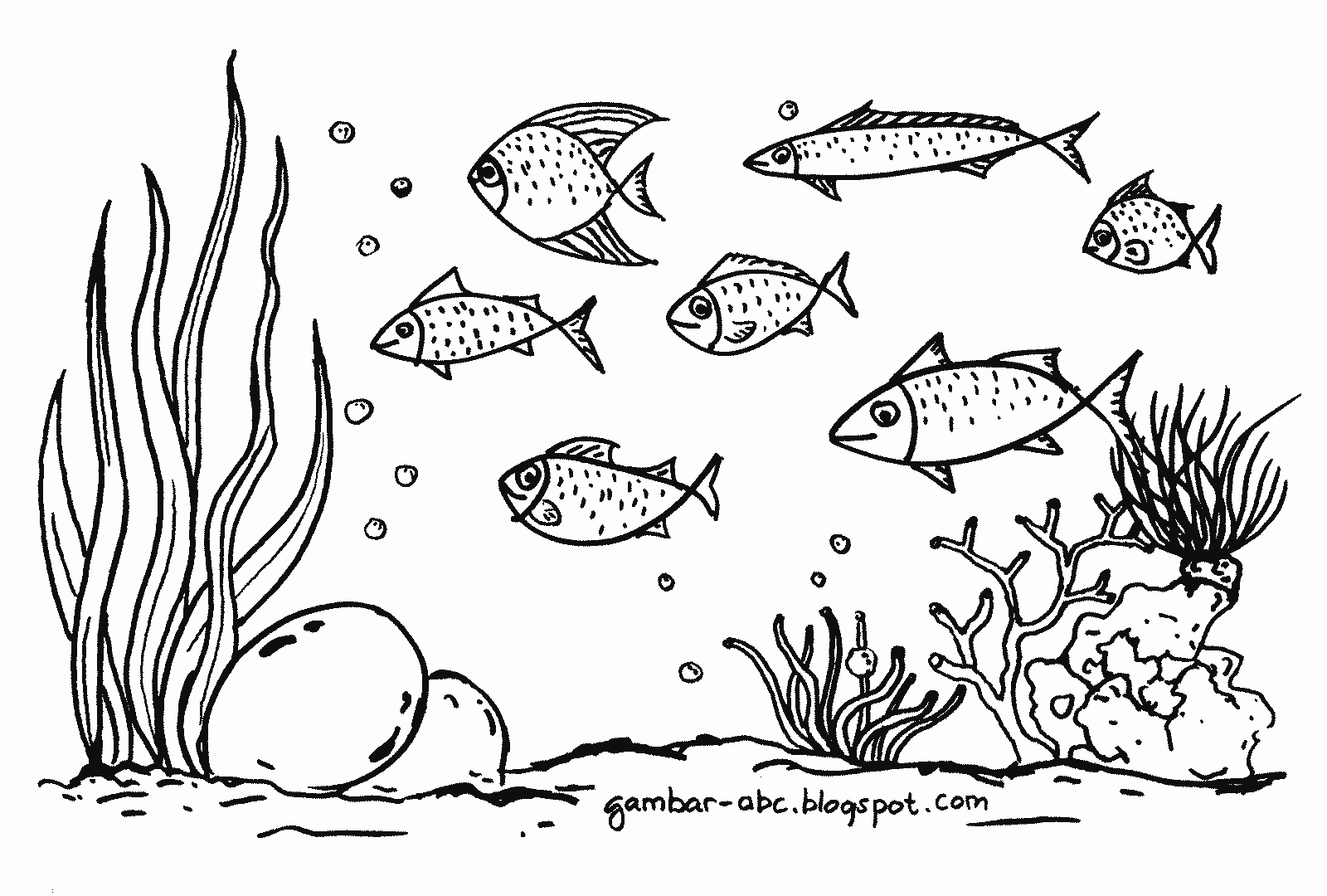 Gambar Mewarnai Ikan Laut - Contoh Gambar Mewarnai