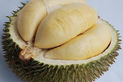 Khasiat Buah Durian