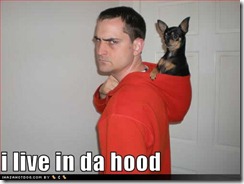 funny-dog-pictures-da-hood