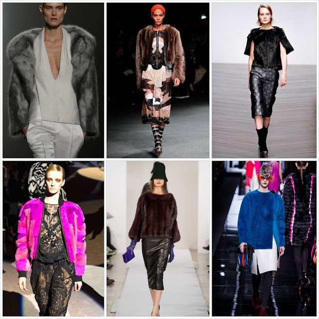 Fall 2013, Winter 2014