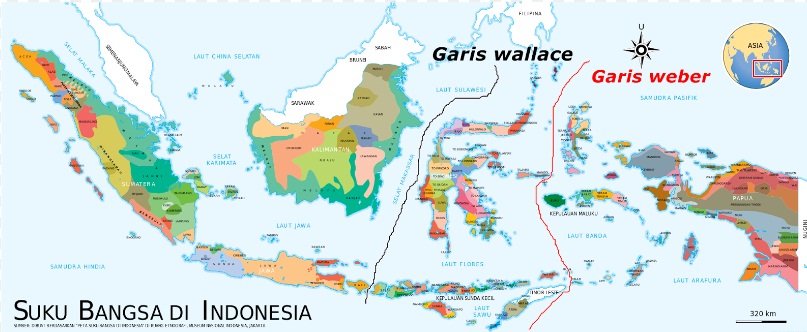 Pengertian dan  Daerah  daerah  Persebaran  Garis Wallace dan  