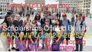 Scholarships Offered By The DAAD MIPLC 2024–2025 For Students From Developing Nations - Germany