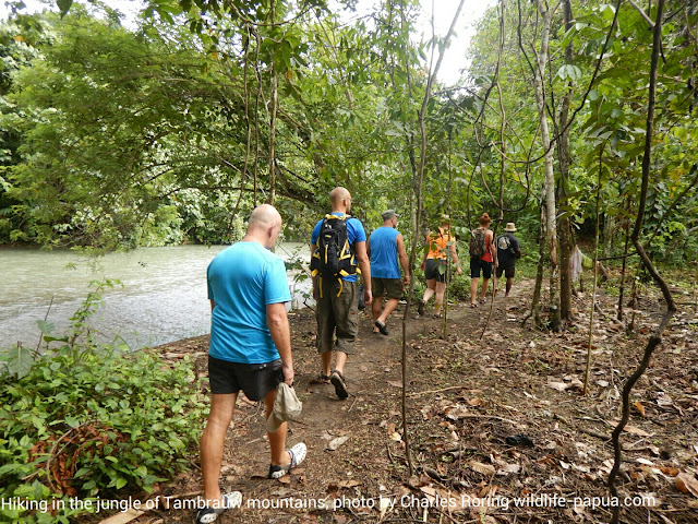 birdwatching and wildlife watching