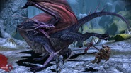 220413-DRAGNORpcSCRNmulti0