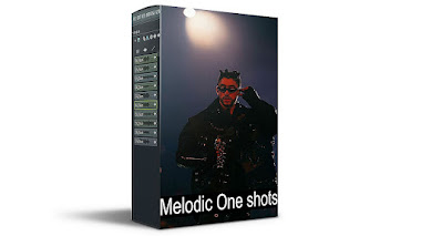 Free download melodic one shot kit - 990