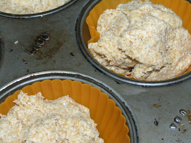 whole grain sourdough biscuits 