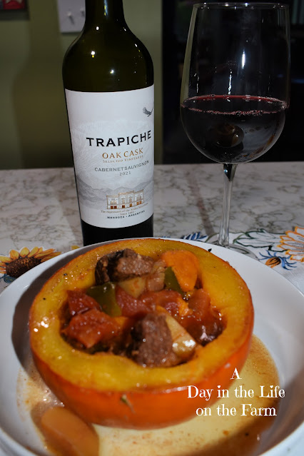 Carbonada en Zapallo and Trapiche Wine