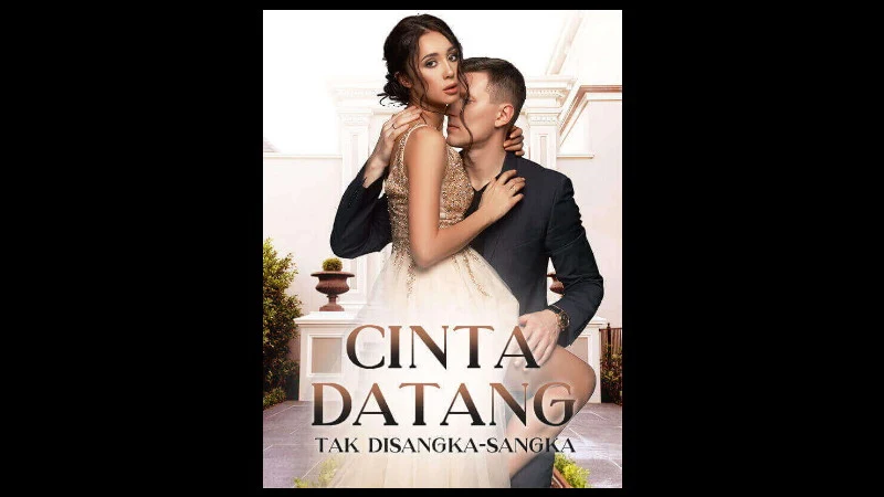 Novel Cinta Tak Disangka-sangka Full Bab