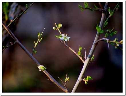 26 March 6 26-03-2012 15-59-07 4032x3024