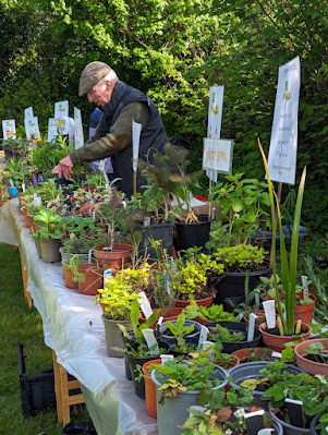 Mike Maher, who grows most of the plants for the plant sale