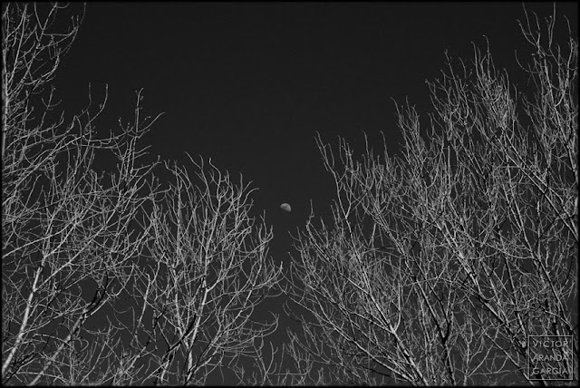 Valencia, fotografía, naturaleza, El Saler, luna