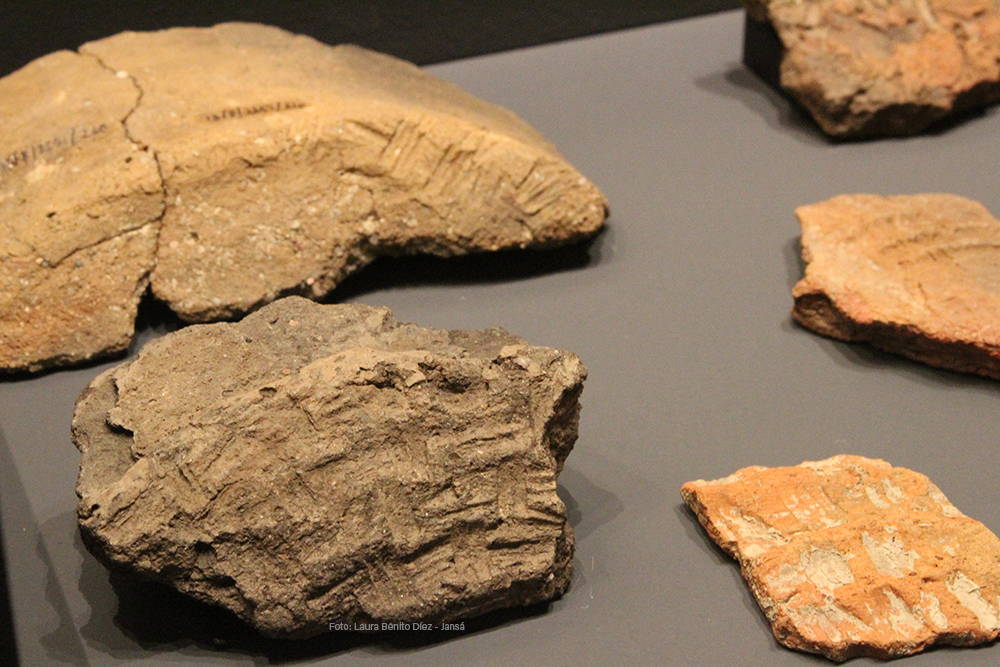 Fragmentos de cerámicas con improntas de antiguos cestos, procedentes de Molino Sanchón II (Villafáfila, Zamora)