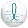 Organização Liga Evangélica do Brasil