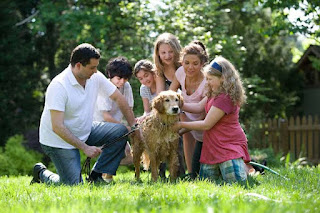 boys and a dog homemaking homeschooling tips for busy folks
