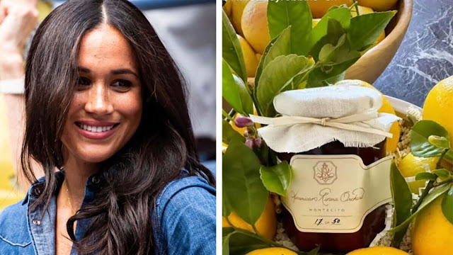 Understanding Meghan Markle's Post-Product Launch Criticism