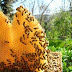 Η ΖΩΗ ΤΗΣ ΒΑΣΙΛΙΣΣΑΣ σε αριθμούς: 40 ημέρες, 1.000 λουλούδια και 1 κουταλάκι μέλι