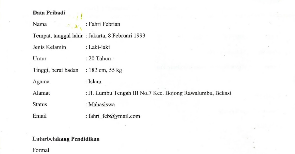 Fahri Febrian: Tugas Bahasa Indonesia 2 - BIODATA