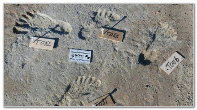 اكتشاف أقدم آثار أقدام بشرية بشمال إفريقيا وجنوب البحر الأبيض المتوسط بالمغرب.