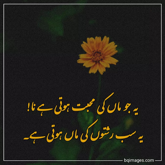 pyari maa quotes in urdu