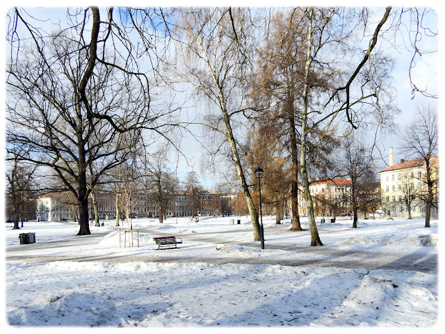 Sofienbergparken i Bydel Grünerløkka i Oslo.