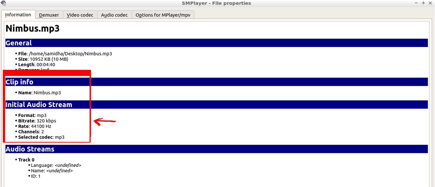 Audio file information before tagging