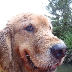 maggie