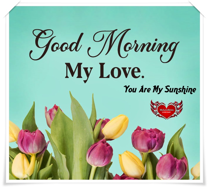 My Love Bytes presents popular Loving & Sweet Morning Love Messages To Inspire Him & Her to start a day in a happy way.