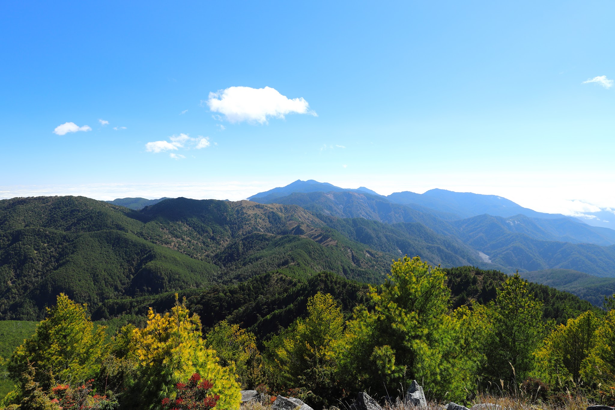 卑南主山東峰不是百岳，高度3065公尺，為台灣269峰之一。位在中央山脈南一段向東邊延伸出去的支稜上。卑南主山東峰位在卑南東稜上。登臨山頂可以遠眺呂禮山、馬番粕山稜線、伊加之藩溪谷、相原山美奈田主山稜線