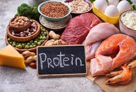 High Protein Indian Food Chart for Weight Loss