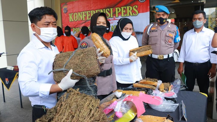 Awali Tahun, Polda Yogya Gulung Pengedar Ganja Lintas Provinsi