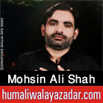 https://www.humaliwalayazadar.com/2017/01/mohsin-ali-shah-naqvi-nohay-2016-to-2018.html