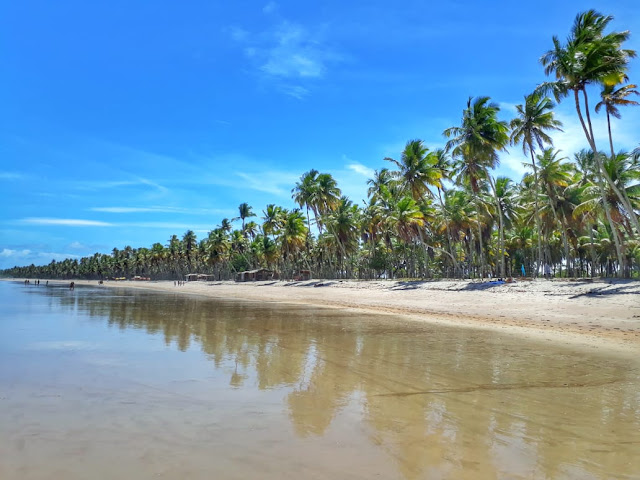 PRaia daCueira Boipeba