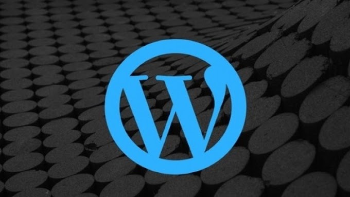 Wordpress for Beginners up to Advanced!