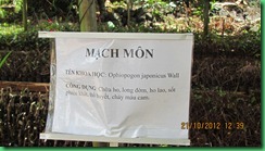 IMG_2591 IMG_2591