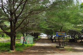 Pantai Cangkring, Berteduh di bawah Rimbunnya Pohon Cemara Udang