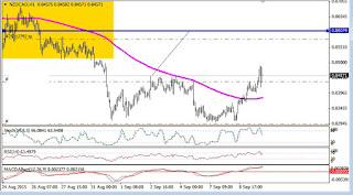 nzdcad en grafico horario mostrando un doble suelo