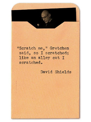 “Scratch me,” Gretchen said, so I scratched; like an alley cat I scratched.