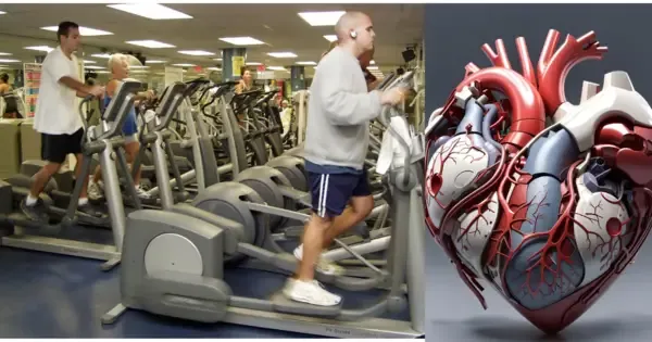 Which of the following best describes cardiovascular fitness | Improve cardio fitness in 2 weeks