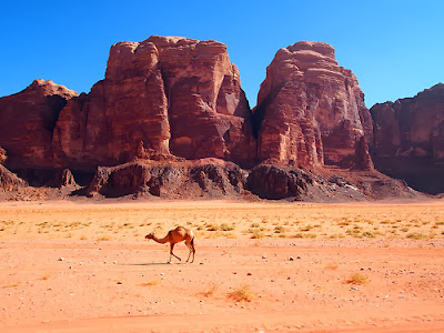 wadi rum