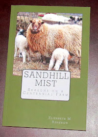 Sandhill Mist