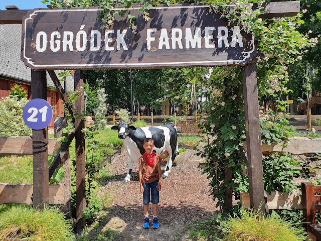 Twinpigs Żory - Amerykański Park Rozrywki - Polska z dzieckiem - podróże z dzieckiem - park rozrywki na Śląsku - rodzinny park rozrywki - atrakcje dla dzieci na Śląsku - aktywne wakacje z dzieckiem